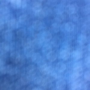 Meet your Posher, Isabella